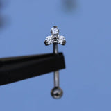 F136 Titanium Eyebrow Prong Set Opal Zircon 16G Banana Curved Piercing