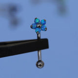 F136 Titanium Eyebrow Prong Set Opal Zircon 16G Banana Curved Piercing