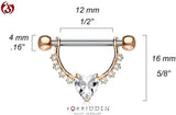 Surgical Steel Nipple Barbell with CZ Pendant D-Rings