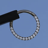 16G Titanium CZ Hinged Segment Ring Hoop Clicker for Nose Septum Daith