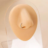 ASTM F136 Surgical Steel Nose Ring Earring Hinged Segment Clicker Titanium