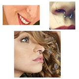 44 Pcs Nose Rings Kit with Needles, Clamps, Studs & Nail for Body Jewelry