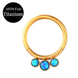 High Zircon Stone Segment Ring Small Septum Piercing