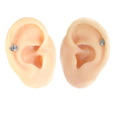 Titanium Crown Lip Labret Paw Studs Earrings 6/8mm