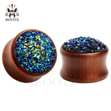 2pcs Rosewood Ear Plugs Pair with Stone Ear Gauges