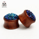 2pcs Rosewood Ear Plugs Pair with Stone Ear Gauges