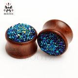 2pcs Rosewood Ear Plugs Pair with Stone Ear Gauges