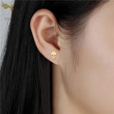Skull Earrings Stainless Steel Studs 12 Pairs Lot