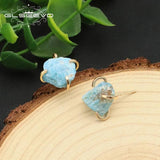 Turquoise Paw Stone Women's Earrings Charming Ear Hot Christmas