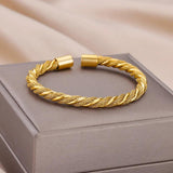 316L Stainless Steel Thick Twisted Rope Bangle Hip Hop Bracelet