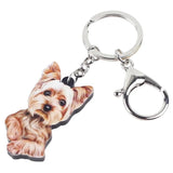 Acrylic Anime Yorkshire Terrier Dog Key Chain Women Girl Car Charms