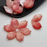 10pcs Resin Shell Petals Charms For DIY Jewelry Making Earrings 0709