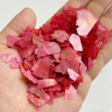 Natural Dyed Shell Fragments Irregular Shell Chip Beads for DIY