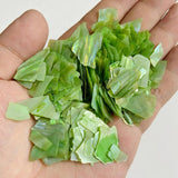 Natural Dyed Shell Fragments Irregular Shell Chip Beads for DIY