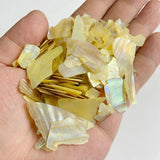 Natural Dyed Shell Fragments Irregular Shell Chip Beads for DIY