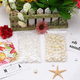 Cream Half Pearl Beads DIY Garment Beads 4-14mm