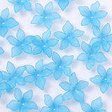 50g 24mm Bauhinia Flower Acrylic ABS Pearl DIY Sewing Clothing Accessories