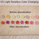 50PCS Glow In The Dark Resin Dried Flower Nail Charms