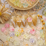 50PCS Glow In The Dark Resin Dried Flower Nail Charms