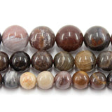 Petrified Wood Jade Round Stone Beads 4-12MM Strand