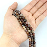 Petrified Wood Jade Round Stone Beads 4-12MM Strand
