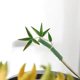 Chinese Style Bamboo Hairpin Alloy Hair Clasp Coiling Hair Ornament