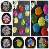 DIY Mixed Frost Acrylic Blossoms Flower Bead Cap Cone With Center Hole