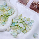 10pcs Ocean Style Shell Pieces DIY Jewelry Material Accessories ZZ117