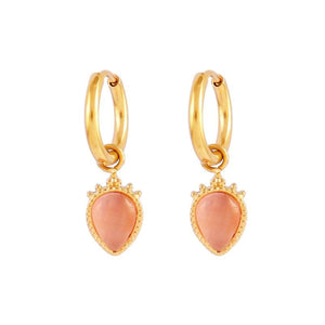 316L Stainless Steel Earrings Hoop with Natural Stone Pendant
