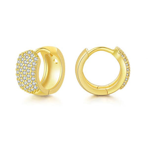 Retro Hoops Zircon Earrings