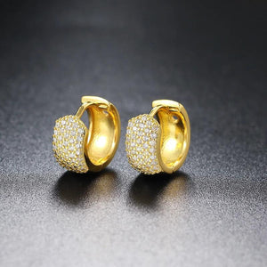 Retro Hoops Zircon Earrings