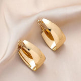 Exaggerated Metal Hoop Earrings Wide Edge Plated Large Ear ring Jewelry E064