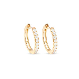 Plated Hoop Earrings with Cubic Zirconia