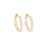 Plated Hoop Earrings with Cubic Zirconia