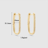 Plated Hoop Earrings with Cubic Zirconia
