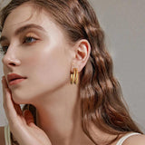 Double Circle Hoop Earrings, Stainless Steel Huggie