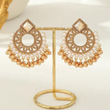 Vintage Crystal Pearl Tassel Earrings Round Flower Pendant Ethnic Jhumka