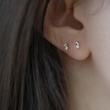 925 Silver Plated Zircon Earrings for Women