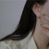 925 Silver Plated Zircon Earrings for Women