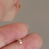 925 Silver Plated Zircon Earrings for Women