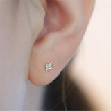 925 Silver Zircon Small Flowers Stud Earrings For Women