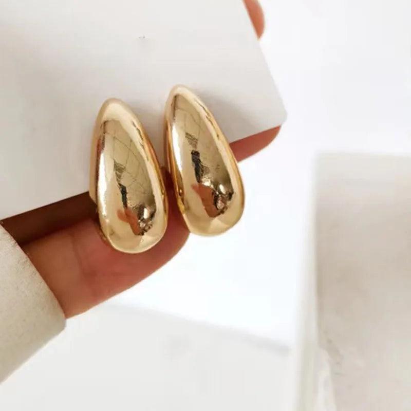 925 Silver Pin Earring Women Girls Party Gift HE22162