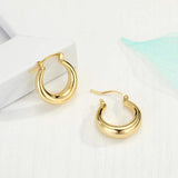 Chunky Hoop Earrings Set 925 Sterling Silver Needle 14K Plated Modern Jewelry