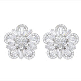 Noble Snowflake Earring For Women - Lovely Dinner Jewelry Gift