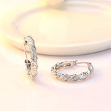 925 Silver Earrings With AAAAA Zircon