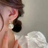 Dangle Earrings Set for Women Girls Party Jewelry