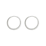 925 Silver-white Flash Earrings For Women 2 Sizes Ear Buckles Women Party Gift