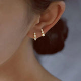 925 Silver Plated Zircon Earrings French Style Jewelry