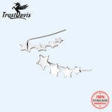 TrustDavis 925 Silver Stars Stud Earrings for Women