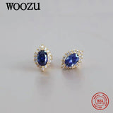 14k Plated 925 Sterling Silver Pave Crystal Zircon Stud Earrings For Women